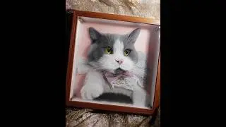 Once you board the cat's pirate ship, you should be a happy cat owner.