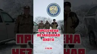 Незаконное оружие , охота после закрытия сезона охоты ! #браконьеры