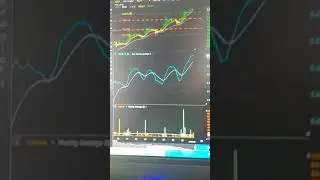 Stock of the Day NCTY