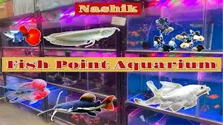 Fish Point Aquarium || At Nashik || New Fish Stock Available || Delivery Possible ||