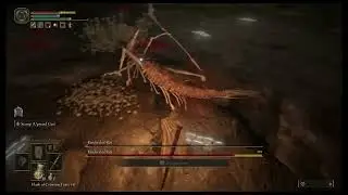 How to defeat Kindred of Rot - Obtain Kindred of Rot's Exultation - Seethewater Cave - Elden Ring