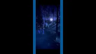 Smoky Night Lights Experience