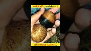 Kasturi Hiran or musk dear fragrance #shorts #shortsfeed #animal