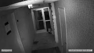 ball lightning caught on security camera during thunderstorm