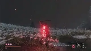 Isshin no Damage