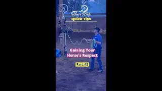 Quick Tips On Gaining Your Horse's Respect! Part 5! | The Horse Guru - Michael Gascon