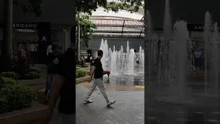 Playful Dog Entertains Mall Crowd by Splashing in Fountain