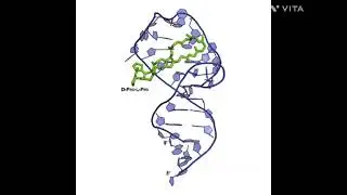 Other scientific contribution