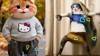 After Being The Beaten, Weak Orange Cat Takes Revenge on the White Bodybuilder Cat