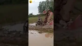 tractor accident in odisha kor//my life style
