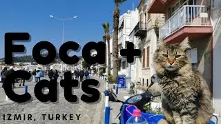 Greece or Turkey? - FOCA TOWN- Spring time