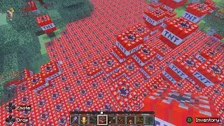 I made a bridge of tnt and lit it