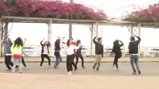 somos libres coreografia