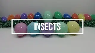 INSECTS | SURPRISE EGGS | BUGS