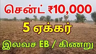 Road Side 5 Acre Punja Land Sale in Vandavasi | Free EB | 2 Wells | Best Price