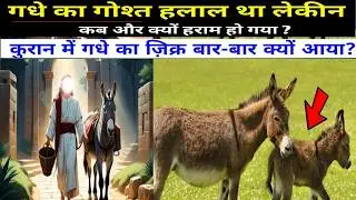 Why Allah Created Donkey? || What did the Quran say's about the donkey || @MDAleemIslam