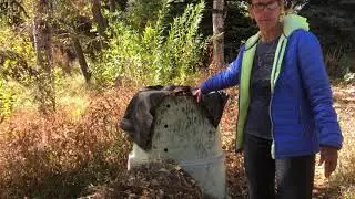 Passive Compost: Leaves, weeds, grass clippings and yard waste!  SAVE the landfills and create SOIL!