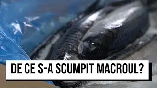 De ce s-a scumpit macroul? Riscăm un deficit de pește &icirc;n magazine?