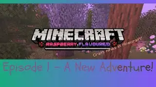 A New Adventure! (Raspberry Flavoured Modpack/Minecraft)