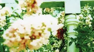 Unwed Sailor - Little Wars