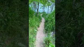 A scenic trail towards the lake Ontario! #lakeview #walking #scenery #shorts