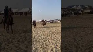 Horse 🐴 Racing India 🔥 #viral #viralvideo #youtubeshorts #horseriding #shorts