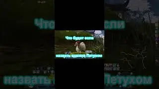 🔥 AION [RU OFF] CLASSIC: ИГРОК ПОЛУЧИЛ КАРУ АДМИНА ! 🔥 #shorts