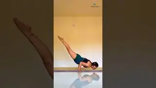 Mayurasana #peacockpose #mayurasana #yogaurmi #urmiyogaacademy #yogapose #yogateacher #yogaasana