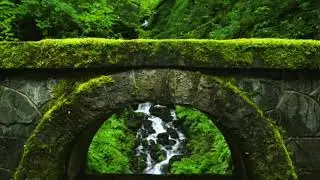 The Brigdge. Guided meditation technique to find your Spirit Guide