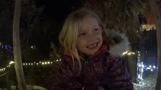 BOO LIGHTS AT HOGLE ZOO