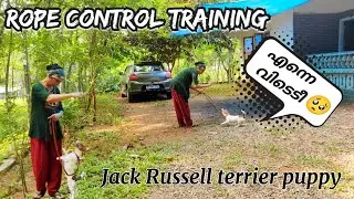 Rope control training my puppy | അവൻ്റെ ഓട്ടം നിർത്തി | #pets #dog #puppy #funny #training