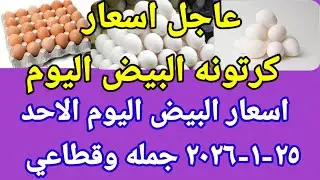 Egg prices in Egypt today, Sunday, January 25, 2026