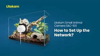 How to configure the network for the SAC 100