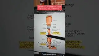 ANATOM&Iacute;A DEL ES&Oacute;FAGO (TRAYECTO)