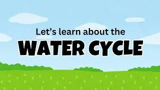 Water Cycle for Kids | How Rain Forms? #watercycle  #scienceforkids  #learnscience
