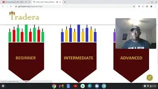 Tradera Back Office Review ( Client Membership)