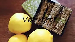 How to Pronounce Vetivert?