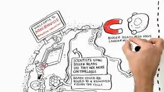 Cell Isolation - The Two Worlds of Cell Separation