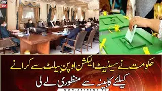 Govt sought cabinet approval to hold the Senate election by open ballot