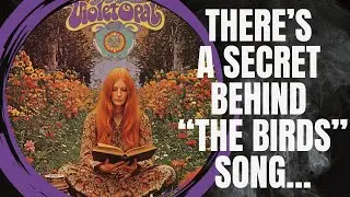 Violet Opal &ndash; The Birds | OFFICIAL LYRICS EXPLAINED