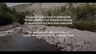 BEAR RIVER WORKING WATERSHED 2022: Benefit ranchers, recreation, & Bonneville Cutthroat Trout