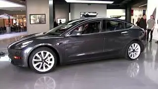 Tesla sales plunge in Europe, with no sign of boost from new model | REUTERS