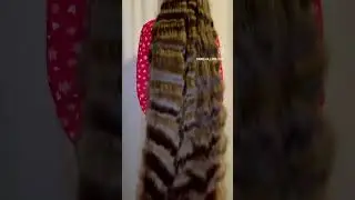 FLOOR LENGTH LONGHAIR #hair #haircut #hairstyle #haircare #longhair #longhairbun #longhairgrowthtips
