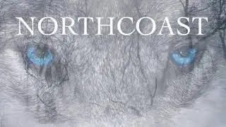 NORTHCOAST / THE BOY WHO DESTROYED THE WORLD (AFI COVER)