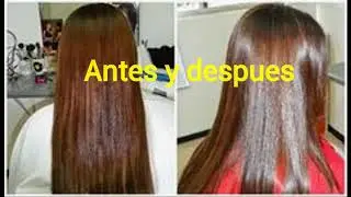 Alizado Japones