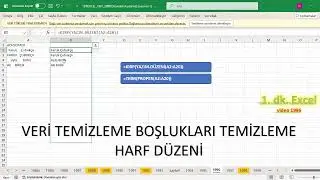 Excel 1 Minute - DATA CLEANING - REMOVE SPACES AND CAPITALIZE THE FIRST LETTER.