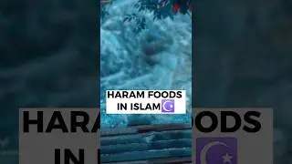 HARAM FOODS IN ISLAM🤲🏻☪️