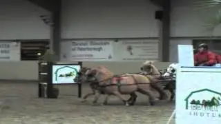 Julie Wedgbury's Shetland team driving obstacle 3 Indoor Driving Finals 2012