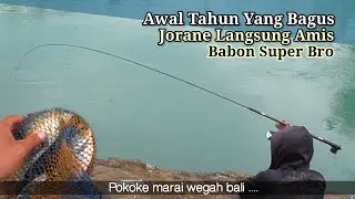 JIKA DITURUTI BISA TIDAK PULANG || NUTUL MELEM