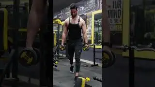 🛑 One MUSCLE a Day Workout? No No No!! #shorts